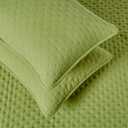 Amazon Basics Brushed Microfiber Quilt Set, Extra Soft with Natural Texture, 3-Piece, Queen/Full, Green
