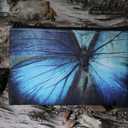 Butterfly Wallet