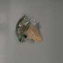 Jellycat Amuseables Peanut Stuffed Toy, 6 inches - Food Plush - Fun Gift Idea