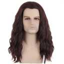 Mens Brown Wig Long Wavy Brown Male Wig Shoulder Length Unisex Wig Heat Resistant Synthetic Hair Cosplay Party Costume Wig