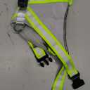 ChalkLit Light Up Dog Harness, No Pull Led Dog Harness Glow-in-The-Dark for Night Walking, USB Rechargeable Lighted Safety Vest for Medium Large Dogs, Adjustable Soft Mesh Fully Illuminated(Green, L)