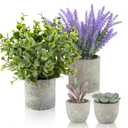 ALAGIRLS 3 Packs Fake Plants Small Artificial Plants for Shelf Lavender Flowers Eucalyptus Succulents Plants Potted Faux Plants for Home Indoor Office Bathroom Living Room Decor