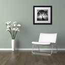 Framed Wall Art - Moises Levy 'Lightning Tree I' Wall Decor with Matted Frame by Trademark Fine Art, 11"L x 11"W