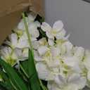 Delphinium Artificial Flowers,6PCS Fake White Flowers 35.43'' Larkspur Artificial Flower Long Stem Flowers for Tall Vase Wedding Party Table Centerpieces Home Decor(White)