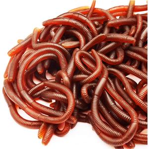 60 Pieces Fake Earthworm Faux Trick Toy Plastic Soft Stretchy Realistic Earthworms Simulated Fishing Lures Baits for Halloween Decoration