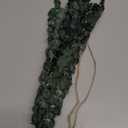 10Pcs Dried Eucalyptus Stems for Shower 17" Real Natural Hanging Eucalyptus Stems, Real Fresh Leaves Branches for Vase Filler, Wedding, Bathroom Decor, Home Decor, Dried Flowers Arrangement Decor