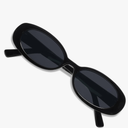 VANLINKER Polarized Retro Oval Sunglasses for Women and Men Small 90s Style VL9580