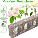 Plant Propagation Station, Glass Test Tubes with Wooden Stand for Plants, Propagation Tubes for Birthday, Housewarming, 3 Pack Plant Terrarium Vase