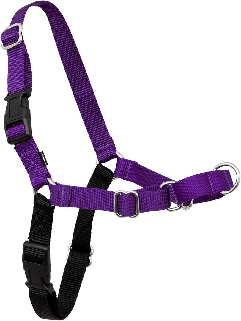 PetSafe Easy Walk Harness for Dogs - Pull-Free Walks - Patented Martingale Loop Design - Front Chest Leash Attachment - Comfort Straps - Breathable Harness Design - Small/Medium, Deep Purple/Black