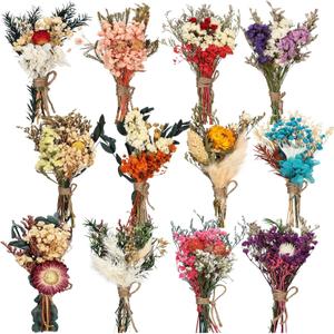 Layhit 12 Pcs Boho Dried Flower Bouquet Mini Wedding Handmade Dry Flowers Decor for Vase Crafts DIY Photo Boutonniere for Men Floral Plant for Bridesmaid Gift Birthday Decor(Colorful)