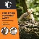 AJOQFKTD Squirrel Repellent Outdoor, Squirrel Deterrent for Garden, Chipmunk Repellent Outdoor, Squirrel Away, Squirrel Repellent for Attic/Trees/Yard,People/Pet/Plant Friendly-12Packs