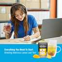 Tiesta Tea Premium Starter Loose Leaf Sampler Kit - Classic Tea Blends, High to Non Caffeinated, Hot & Iced Brews, Starter Set with Black, Green, Herbal Sample Bags and 100 Disposable Tea Filters