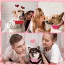 Talltalk 24 Pcs Valentines Day Dog Collars Puppy Gift Adjustable Heart Shaped Dog Collars Bowties PU Leather Cat Bow Tie Gift for Pets Owner Valentines Party Dress up Accessories