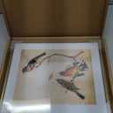 10x12 Picture Frame, Brass Aluminum Metal Photo Frames with HD Glass, Fits 8x10 with Mat or 10 x 12 without Mat, Display for Wall, 1 Pack