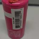 Palmer Paints™ Fuchsia Acrylic Paint, 2 fl oz 