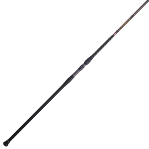PENN Battalion II Surf Casting Fishing Rod (10' - Medium Heavy - 20-50lb - 2pc)