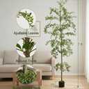 Shady Lady Faux Tree 7ft for Home Décor Black Olive Tree 84inches Realistic Fake Potted Plants with Moss Indoor Bucida Buceras Artificial Tall Trees with Natural Wood Trunk Housewarming Outdoor