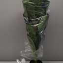 Flybold Artificial Fiddle Leaf Fig Tree - Realistic Faux Leaves in Black Basket - Lifelike Decorative Element for Homes, Offices, Hotels, Restaurants - Indoor Plant Dcor with Pot - 6.2" x 31.4"