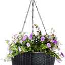 Vencer 11 Inch Round Resin Self Watering Hanging Basket,Water Indicator,Modern Decorative Planter Pot for All House Plants,Black,VF-050B