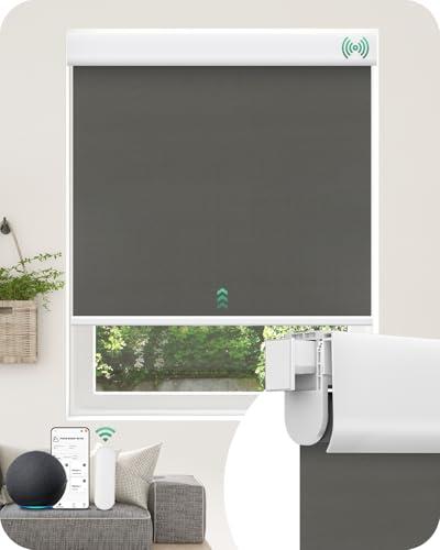 Allesin Motorized Blinds No Drill Automatic Roller Shades with Remote Control | Rental-Friendly & Easy Install Rechargeable Smart Electric Window Blinds for Apartment
