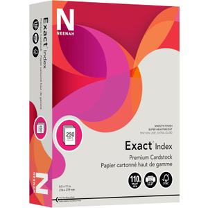 Wausau Exact Index Cardstock, 110 lb, 8.5 x 11 Inch, Pastel Gray, 250 Sheets (48598)