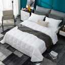 Globon White Summer Down Comforter/Blanket Queen Size, Lightweight Duvet Insert for Hot Sleepers, Noiseless & Extra Soft Shell,14OZ,750 Fill Power, with Ties, Solid White