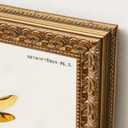 Ornate Classic Gold 10x12 Picture Frame with Raised Leaf Border, 10 x 12 in