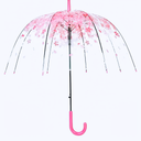 Clear Bubble Umbrella – See Through, Rain & Windproof Umbrella for Weddings, Prom, Graduation and Outdoor Events - Automatic Open, Crook Handle, Clear Dome