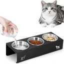Elevated Cat Food Bowls - 15 Tilted Stainless Steel Cat Bowls, Anti Vomiting Raised Pet Feeder with Non-Slip Metal Base for Indoor Cats, 3 Bowl Set