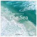 The Life & Love of the Sea: Underwater photography capturing ocean creatures, coral gardens, and the fragile beauty beneath waves. by Lewis Blackwell (Author)