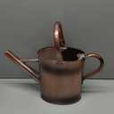 1 Gallon Metal Watering Can with Removable Spout, Nice Galvanized Steel Water Can with Embossed Design for Indoor and Outdoor Plants