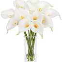DILATATA Fake Flowers in Vase 12“ Artificial Calla Lily Pure-White Flowers Arrangement with Vase and Faux Water for Home Decor Dining Table