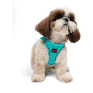 Tailpetz Light Blue Dog Harness Small Sized Dogs, Adjustable No Pull Step in Harness for Small Dog, Reflective Puppy Harness for Puppy Training, Small Dog Harness Boy Girl (Light Blue, S)