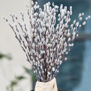Oning 30 Stems Real Dried Pussywillow Preserved Greenery Branches for Vase- Natural Pussywillows with White Flowers, 16''-17'' Snow Willow Branches for Easter Wedding Home Party Hotel Fireplace Decor