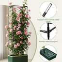 2 PackTomato Planter with Trellis, Self Watering Planter Box with Trellis, Vertical Raised Garden Bed Planter for Climbing Vegetables Indoor Outdoor Patio