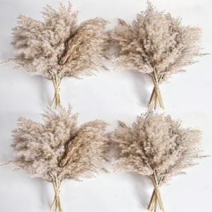 40 PCS Nature Pampas Grass Bouquet Decor - Boho Flowers and Feathers for Centerpieces, Perfect for Floor Vase Fillers, Home Decor, Living Room, and Wedding Decor