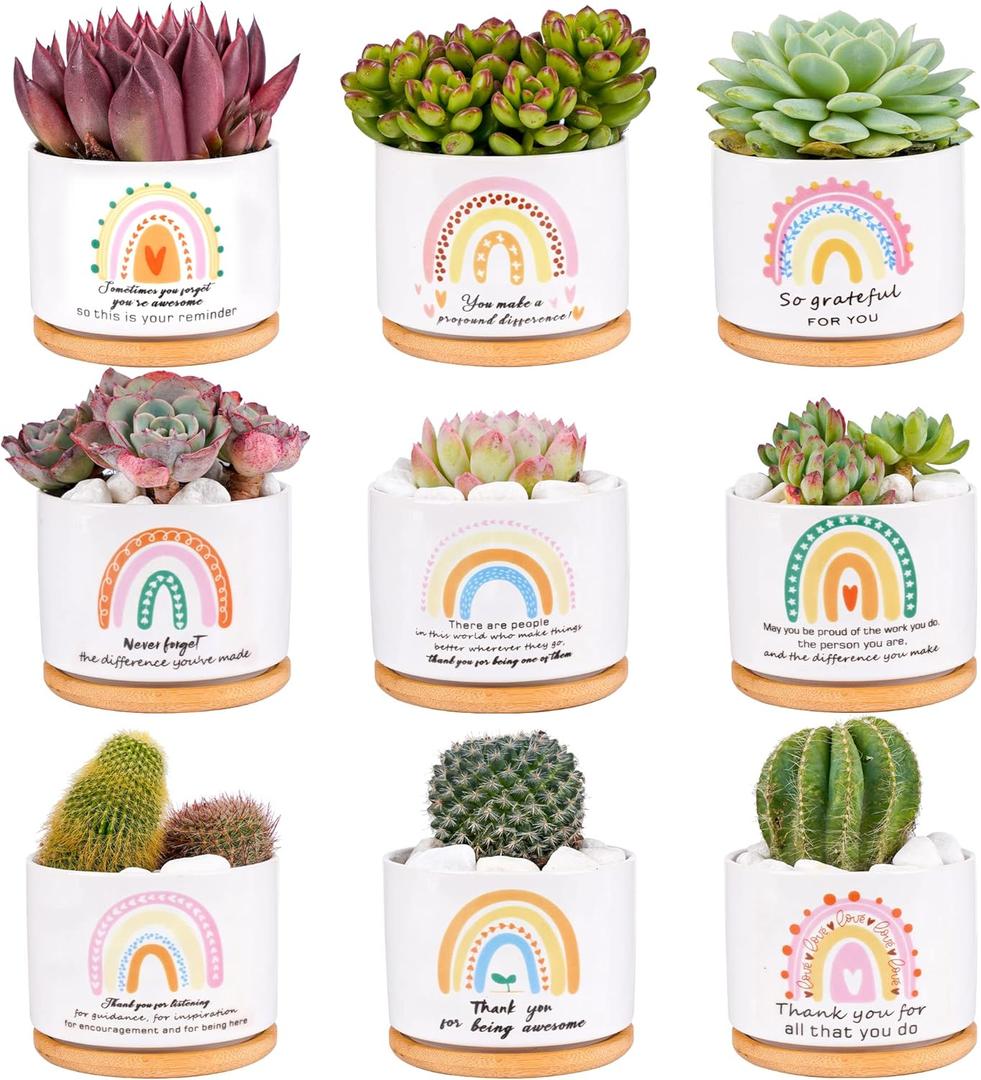 SAIWEILAI Ceramic Succulent Planter Pots Set of 9 with Bamboo Trays, Round Painted Plant Pots for Indoor Desktop Decoration, White