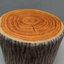 Leinuosen 4 Pcs Tree Stump Stool Round Throw Pillows Wood Floor Cushions for Classroom Tree Stump Flexible Seating with Wood Grain Print for Classroom Reading Corner Playroom Woodland Nursery Decor, 11 x 7.9 inches