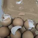 12 PCS Brown Wooden Eggs to Paint Fake Easter Eggs Dummy Faux Wooden Eggs for Crafts, Easter Decorations, Get Hens to Lay Eggs