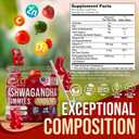[2 Pack] Ashwagandha Gummies for Women & Men Natural Soothing Gummies with Pure Ashwagandha Root Extract Vitamin C Zinc Ashwagandha Supplements for Focus & Rest 120 Sugar Free Chews, BBD: 03/15/2028