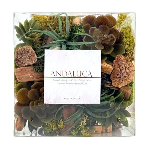 ANDALUCA Maison Box Fragrance Potpourri Decorative Succulent Moss Vase & Bowl Filler Home Décor (Moss Forest)