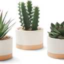 ASTRIDIA Artificial Succulent Plants in Ceramic Pots, Faux Assorted Succulents Plants for Home Decor, Bedroom, Office, Desk, Living Room, Set of 2