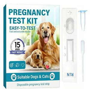 Dog Pregnancy Test Kit at Home - Accurate and Fast Dog Pregnancy Test, Convenient & Disposable Pregnancy Tests Strip (1PCS)