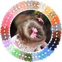 Baby Hair Clips for Girls 50PCS - 2" Girls Fully Lined Bows Hair Pins Tiny Hair Bows Alligator Clips for Baby Girls Infants Toddlers in Pairs