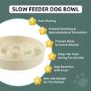Havniva Ceramic 1.6 Cup Slow Feeder Dog Bowl for Medium and Large Breed, 8.2inch Puzzle Dog Food Dish, Anti-Gulping, Stop Bloat, Preventing Choking (Single Bowl-Light Yellow)