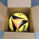 WILSON AVP Game Volleyballs