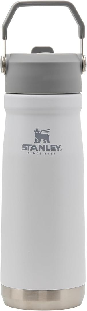 STANLEY IceFlow Flip Straw Water Bottle 22 oz | Built-In Straw for Travel and Sports | Lightweight and Leak Resistant | Insulated Stainless Steel | BPA-Free | Polar