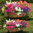 HyeFlora Artificial Flowers for Outdoors Fake Plants Outside Decoration, 12 Bundles Silk Colorful Morning Glory with Eucalyptus UV Resistant Realistic Faux Flowers for Planter Porch Patio Yard Garden