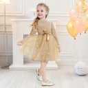 Luckrizyy Girls Dress Velvet Long Sleeve Tutu Dress Kids Sparkly Sequin Tulle Holiday Party Casual Princess Dresses 3-8Y Apricot (Beige)