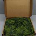 N&T NIETING 9FT Christmas Norfolk Pine Garland Real Touch Pine Artificial Garlands Faux Greenery Garland Winter Christmas Garland for Table Mantle Fireplace Indoor Outdoor Xmas Decorations (1 Pcs)